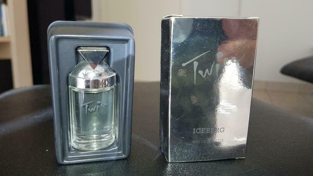 Twice iceberg miniatuur, Ophalen of Verzenden, Zo goed als nieuw, Miniatuur