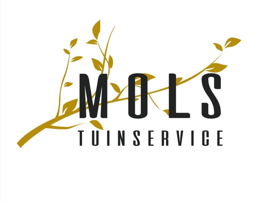 Algemene tuin aanleg, renovatie en onderhoud, Diensten en Vakmensen, Tuinmannen en Stratenmakers, Garantie, Tuinonderhoud of Snoeiwerk
