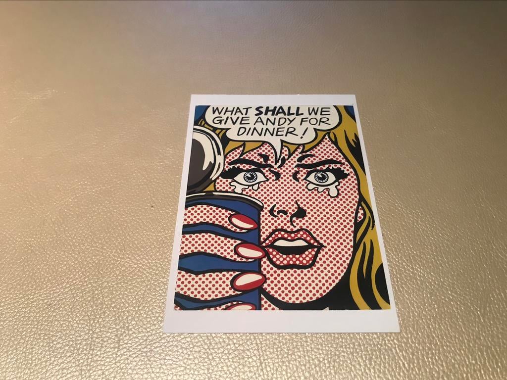 Roy Lichtenstein Pop Art Kaartje, Boeken, Ophalen of Verzenden, Zo goed als nieuw, Schilder- en Tekenkunst