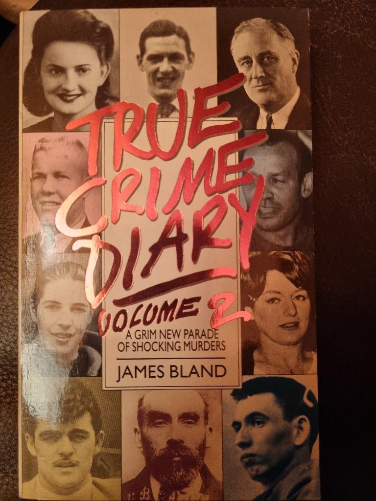 Boek Engelstalig James Bland  - True crime diary, Gelezen, James Bland, Maatschappij en Samenleving, Ophalen of Verzenden