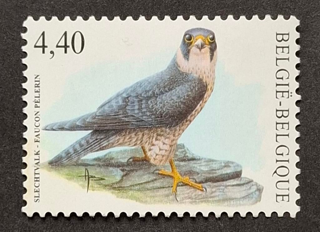 België: OBP 3751 ** Vogels 2008., Frankeerzegel, Ophalen of Verzenden, Zonder stempel, Postfris