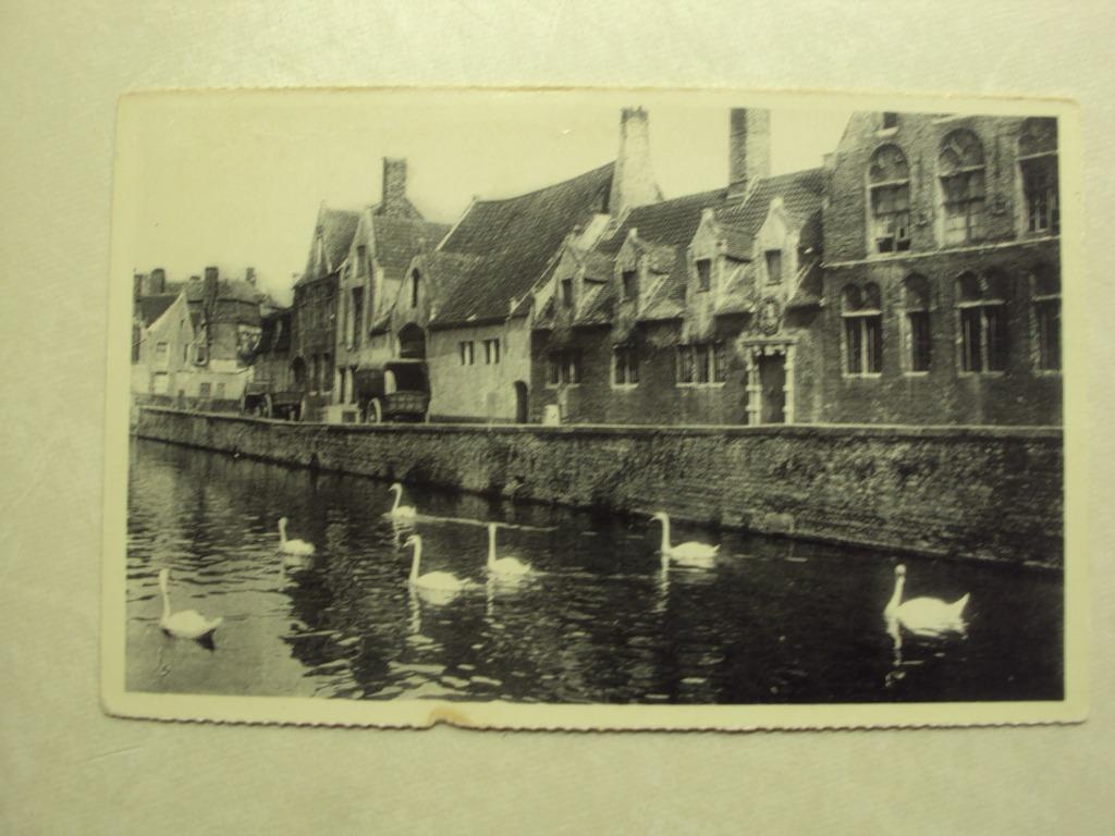 52550 - BRUGGE - GROENE REI - GODSHUIS DE PELIKAAN, Ophalen of Verzenden