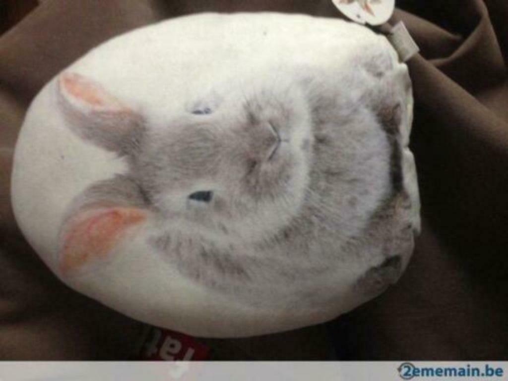 coussin lapin, Enlèvement, Neuf