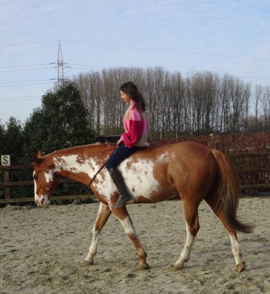 Opzoek naar een verzorger voor mijn super lieve ruin, Dieren en Toebehoren, Pony's