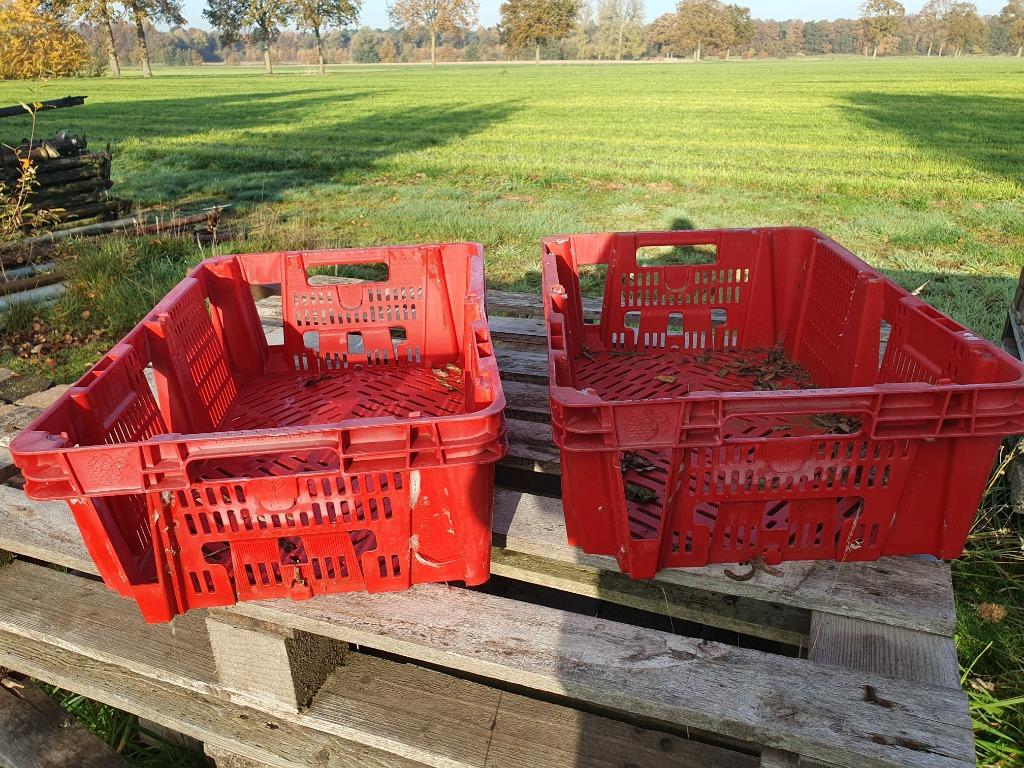 bakken rood, Ophalen, Gebruikt, 40 tot 60 cm, 50 tot 75 cm