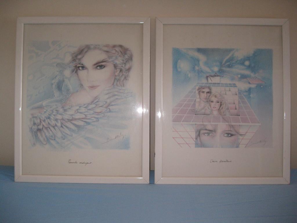 Bernadette Voz.  Wanddecoratie, Enlèvement