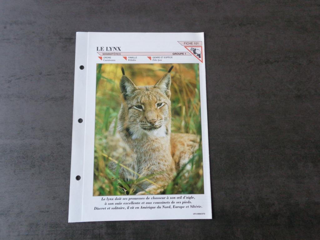 21 vellen over dieren, Ophalen
