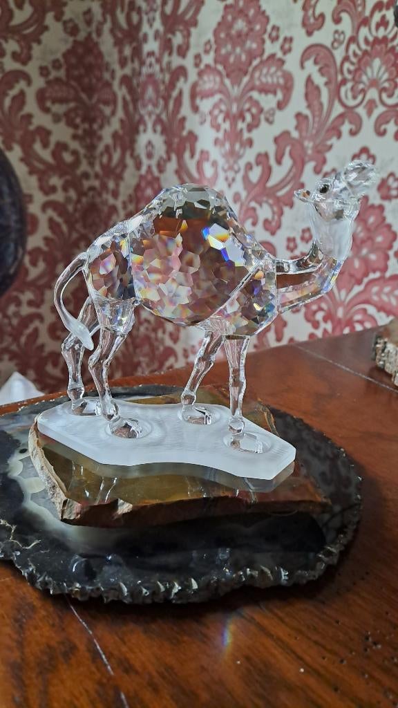 Swarovski dromedaris, Ophalen of Verzenden, Zo goed als nieuw, Figuurtje