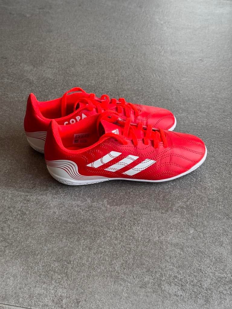 Basket futsal/mini foot Adidas taille 35, Enlèvement, Comme neuf, Chaussures