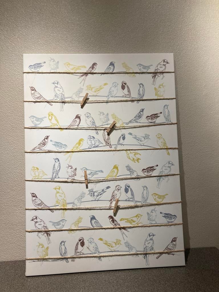 vogels canvas 50-70 cm, Huis en Inrichting, Ophalen, Zo goed als nieuw