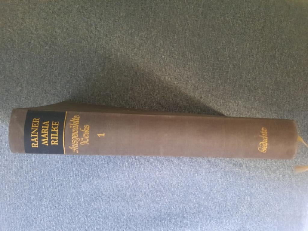 Rainer Maria rilke, Boeken, Ophalen of Verzenden, Gelezen