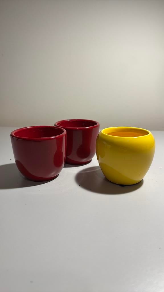 2 pots de fleurs rouges et 1 pot de fleurs jaune, Enlèvement, Comme neuf