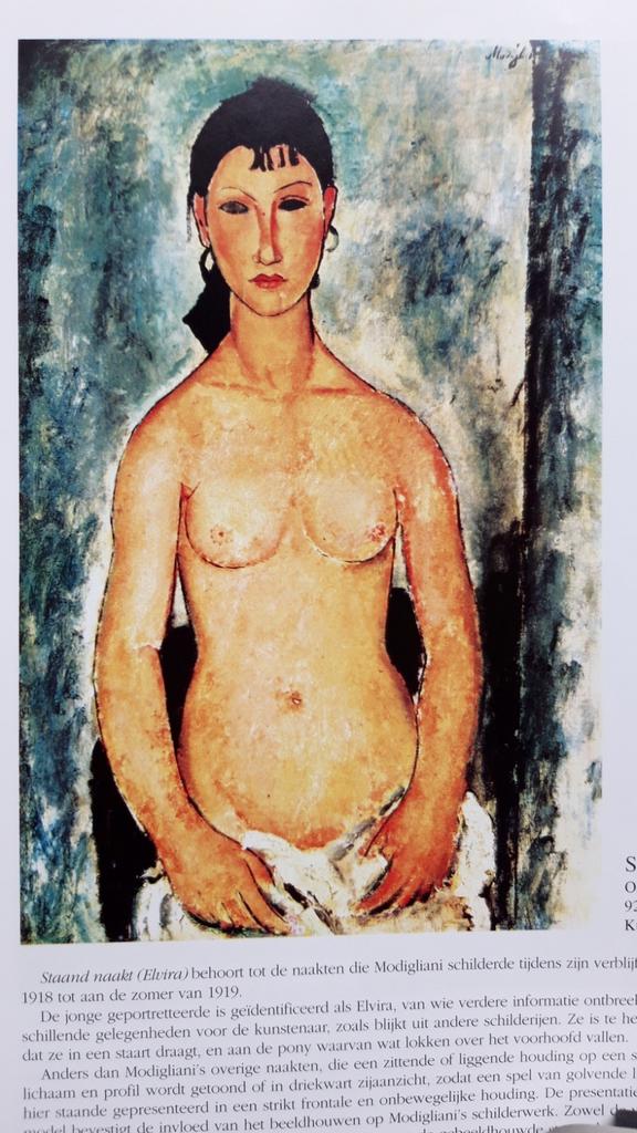 Amedeo Modigliani - monografie, Enlèvement ou Envoi, Comme neuf, M.S.G. Galland