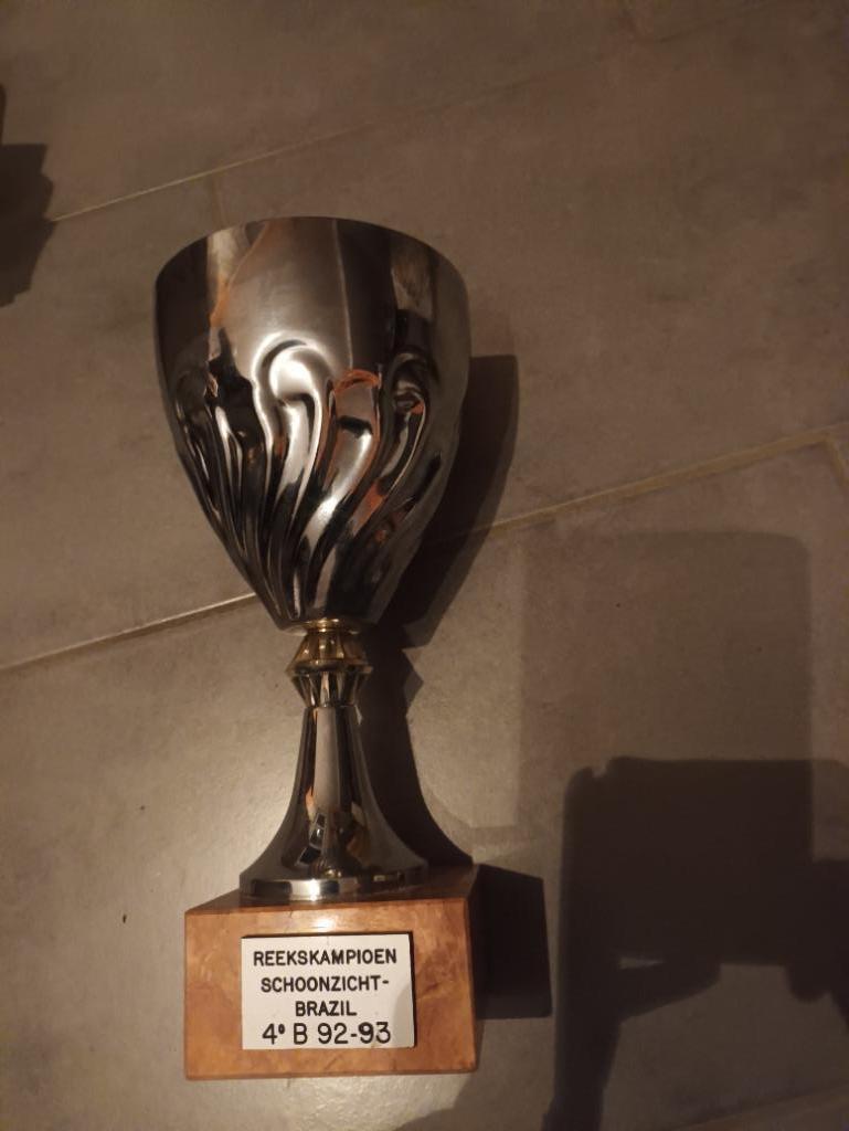 Trofee van 34 cm, Verzamelen, Sportartikelen en Voetbal, Ophalen of Verzenden, Zo goed als nieuw, Overige typen