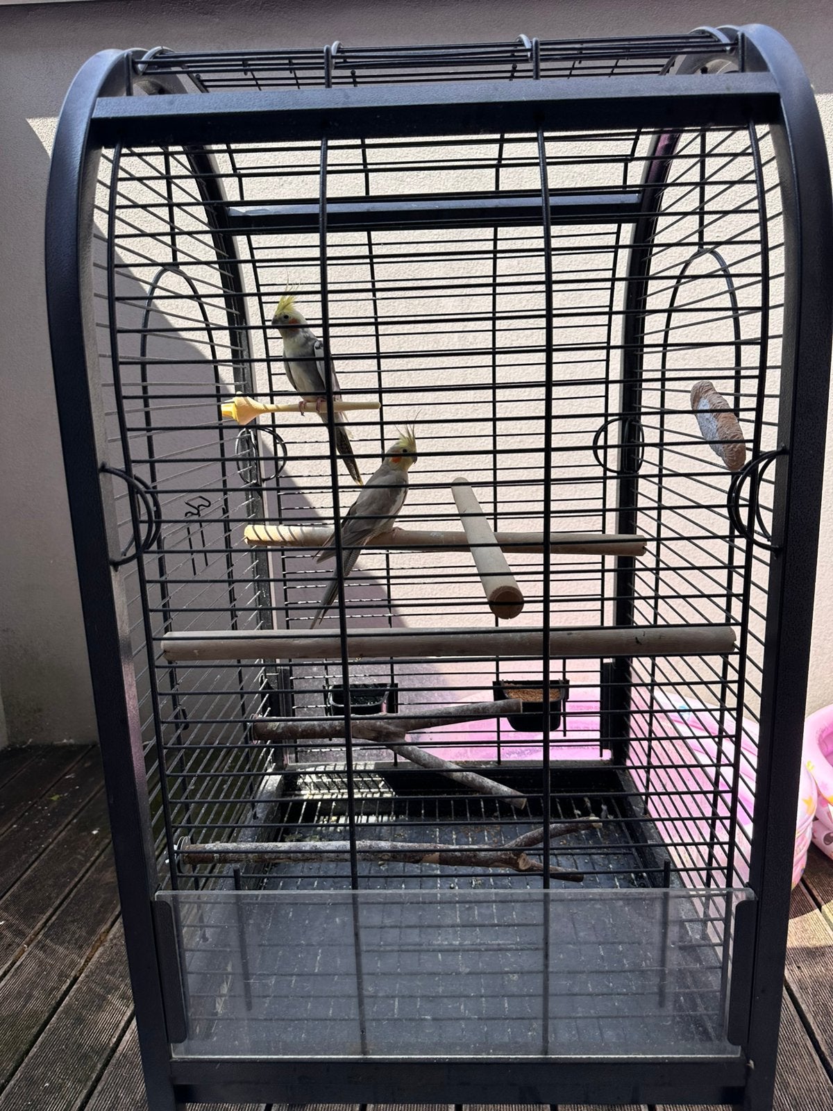 Vogels met kooi, Enlèvement ou Envoi, Comme neuf