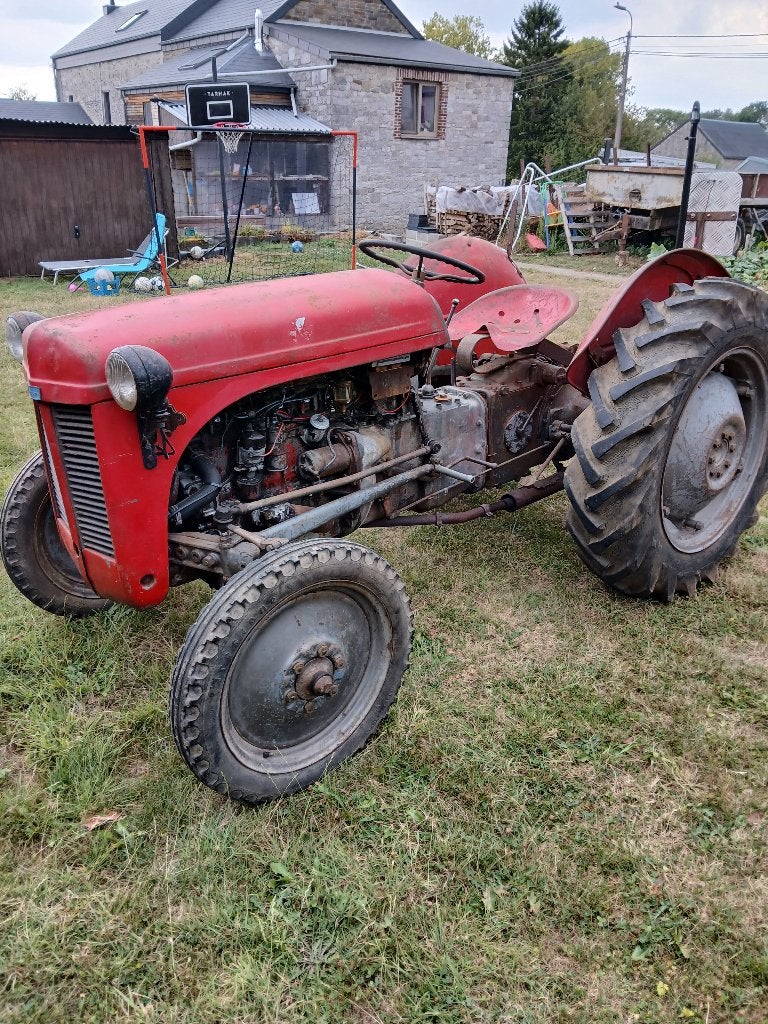 Tracteur massey ferguson, Enlèvement, Oldtimer/Ancêtre, Massey Ferguson