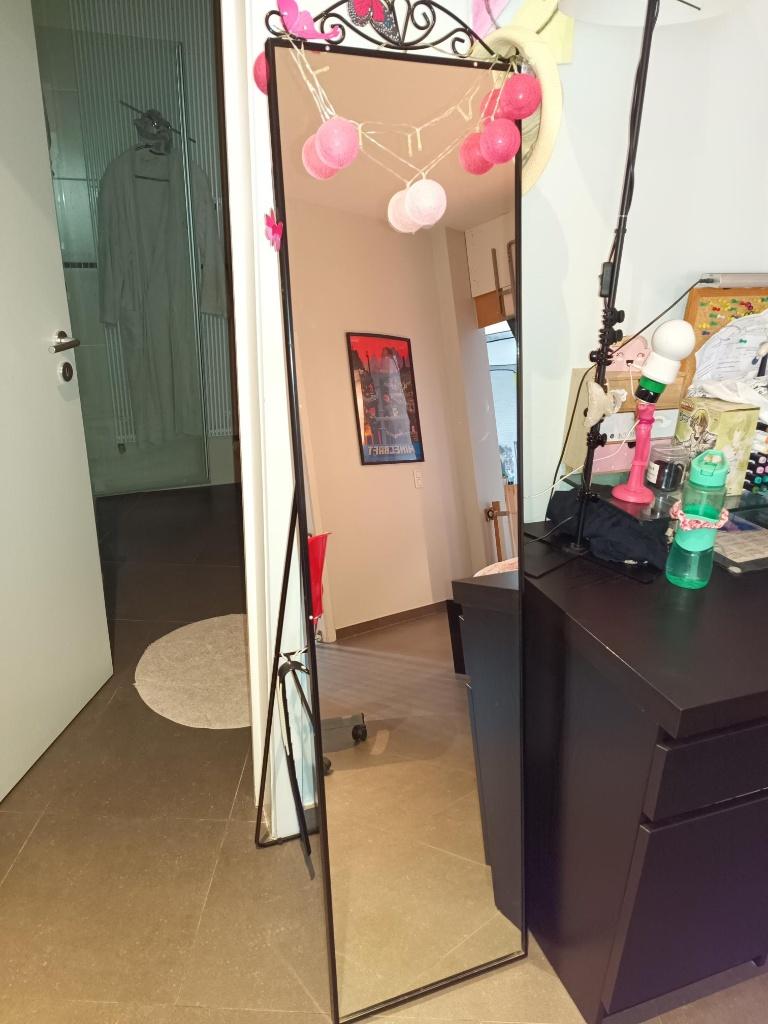 Furniture - Standing Mirror, Enlèvement, Comme neuf