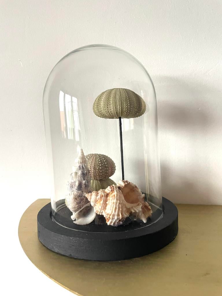 Stolp met zee-egelschelpen, Ophalen of Verzenden, Zo goed als nieuw