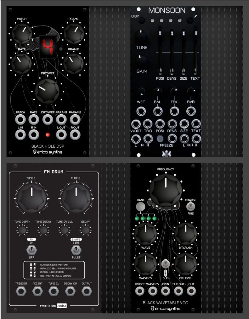 EURORACK SALE monsoon wavetable vco black hole dsp, Musique & Instruments, Modules de son, Utilisé, Enlèvement ou Envoi