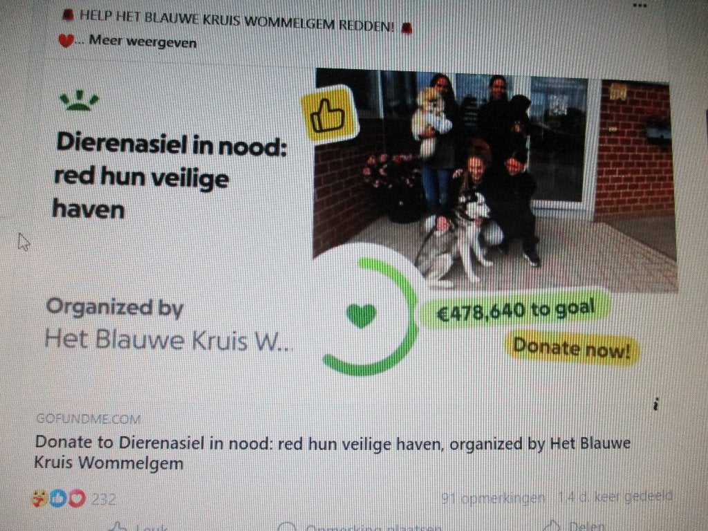 Dierenasiel in nood: red hun veilige haven, Ophalen of Verzenden, Nieuw
