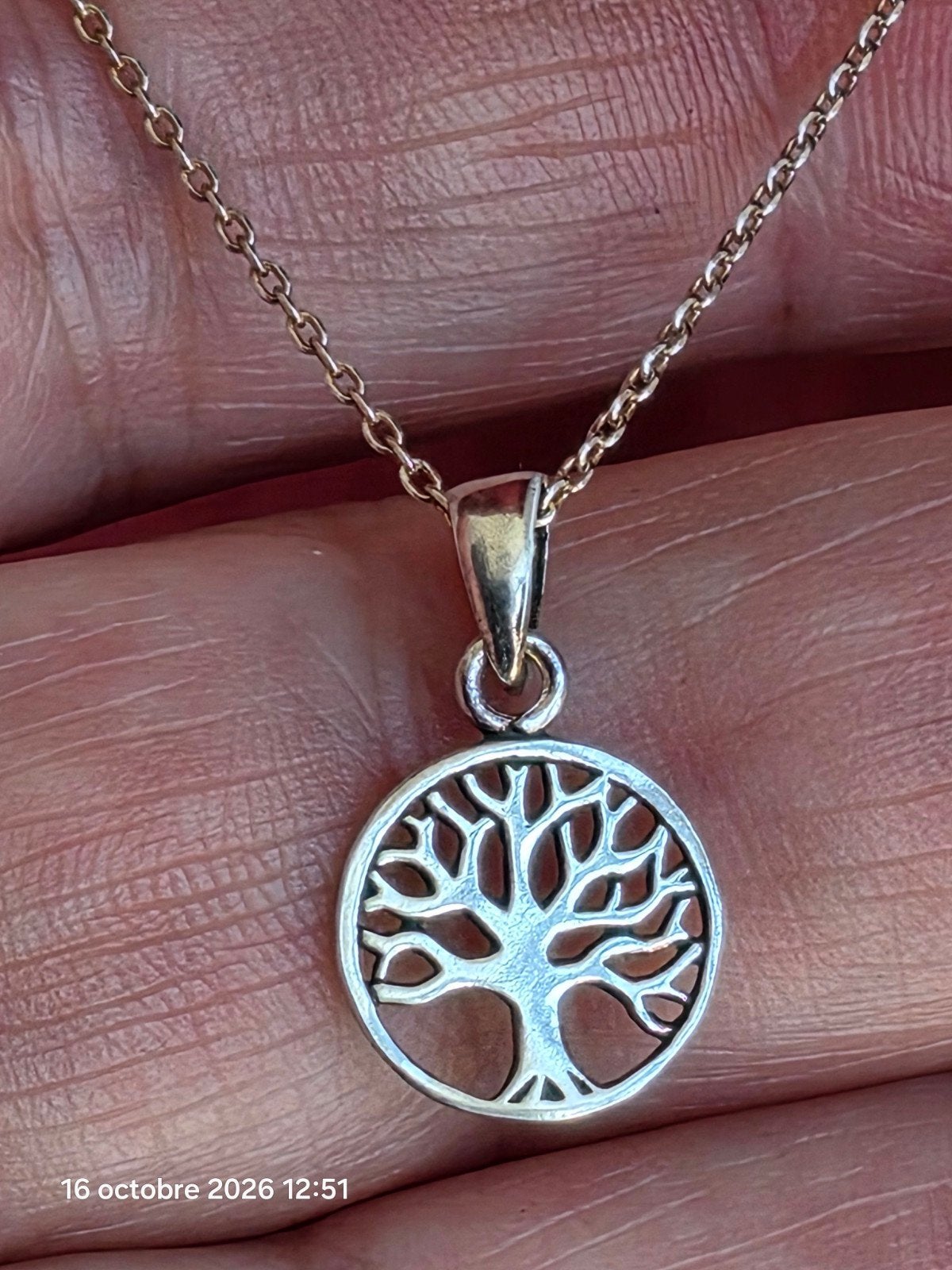 Pendentif en argent massif 925 avec " arbre de vie", Neuf, Enlèvement, Fleur ou Plante, Argent