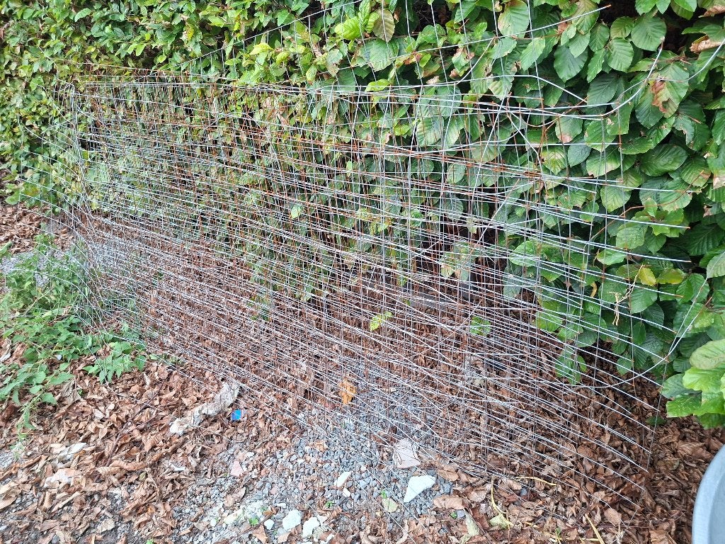 Chape wapening, Ophalen, Nieuw