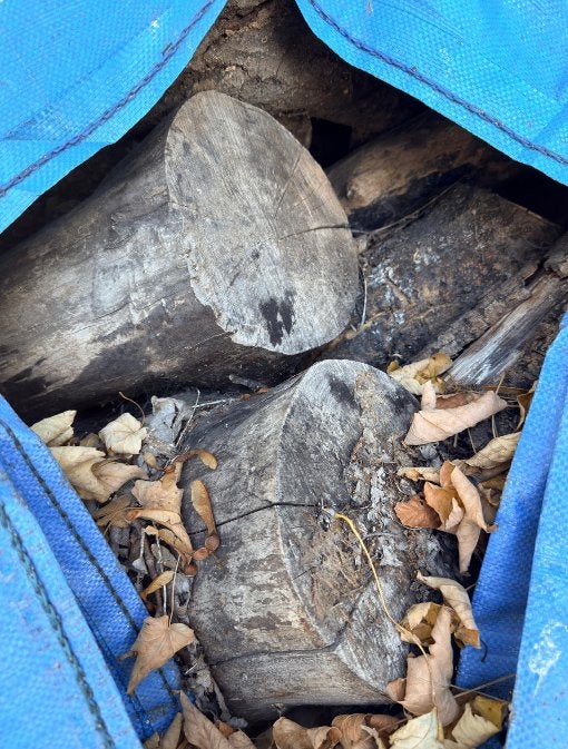 Bois de chauffage feuillus en big bags, 6 m³ ou plus, Enlèvement, Autres essences de bois, Bûches