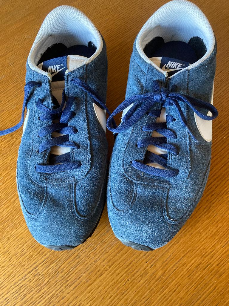 Schoenen, Vêtements | Hommes, Chaussures, Enlèvement ou Envoi, Nike, Porté, Bleu