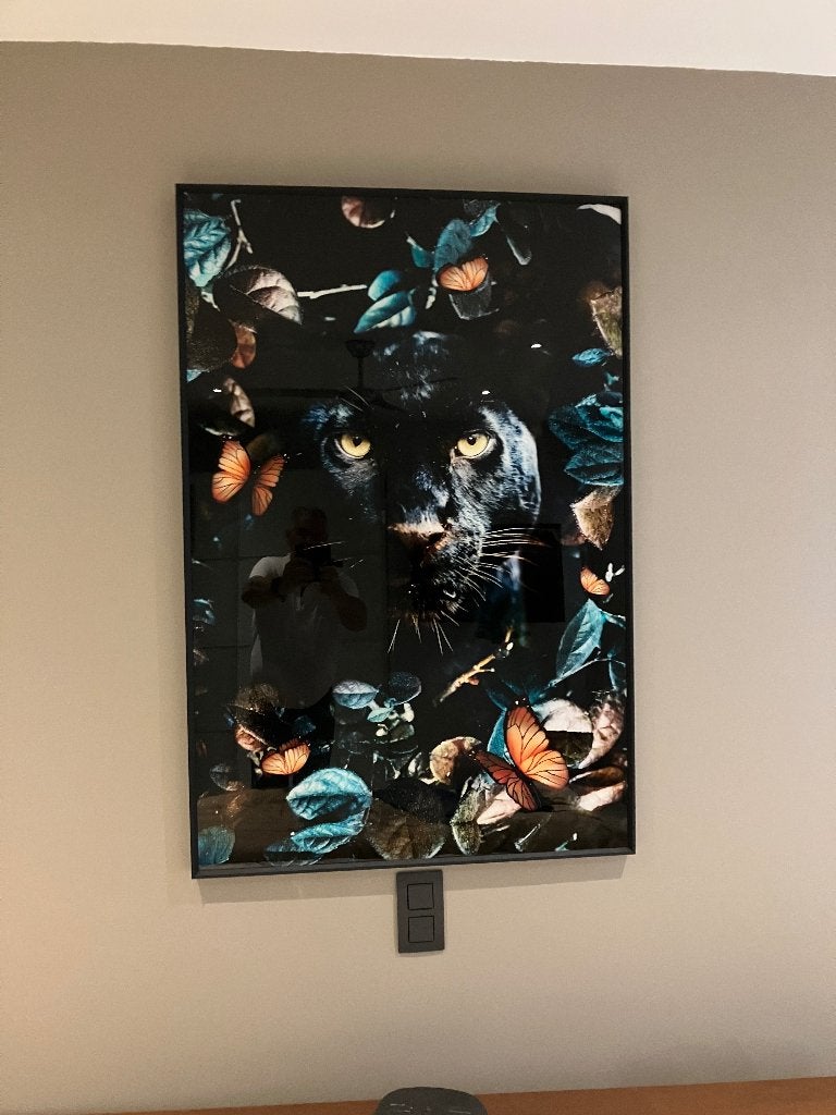 Glazen wanddecoratie zwarte panter, Ophalen, Zwart, Decoratieobject, Zo goed als nieuw