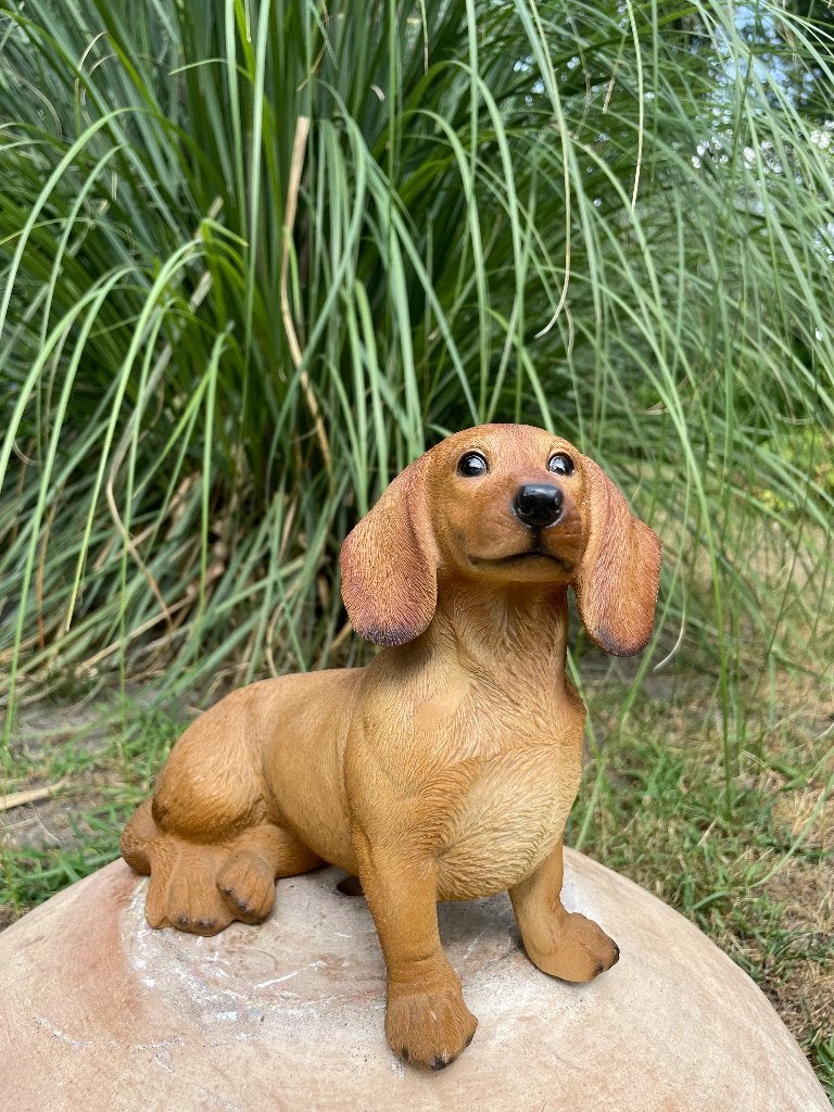 Beeld teckel, tekkel, zittend  bruin , tuin, kado 30 cm, Ophalen of Verzenden, Nieuw, Kunststof, Dierenbeeld