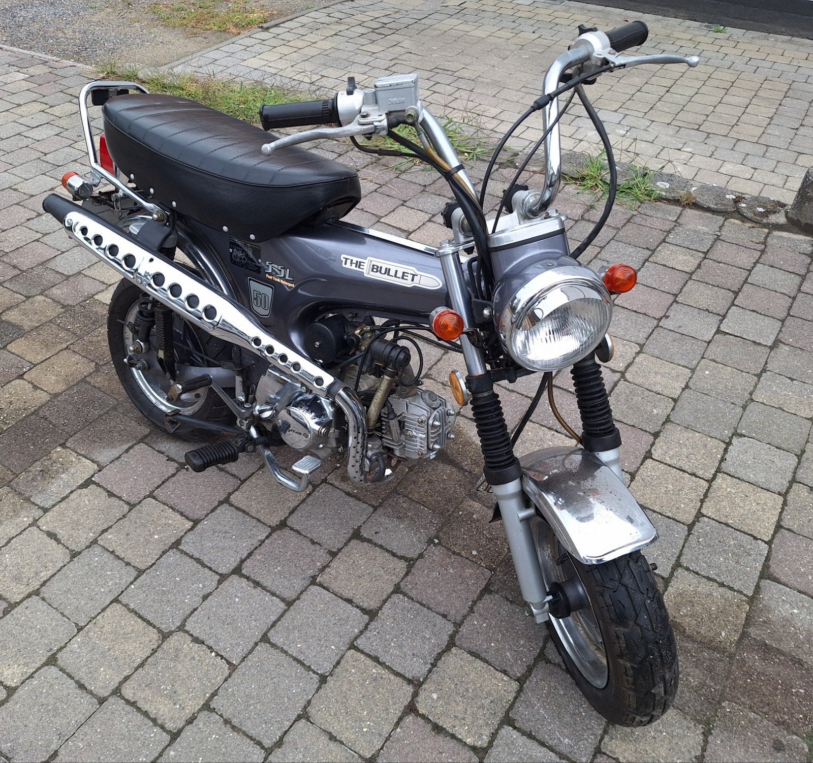 uitzonderlijke dax, orgineel, tip-top!!, Ophalen
