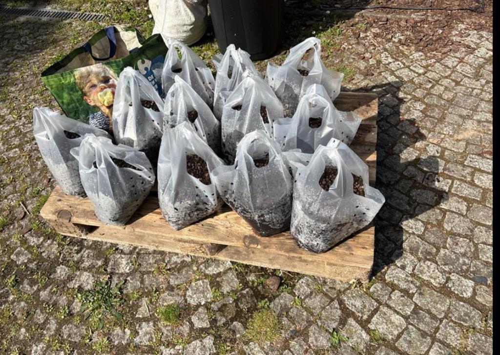 Pastilles hydroliques gratuites mélangées à de la terre, Enlèvement, Argile expansée