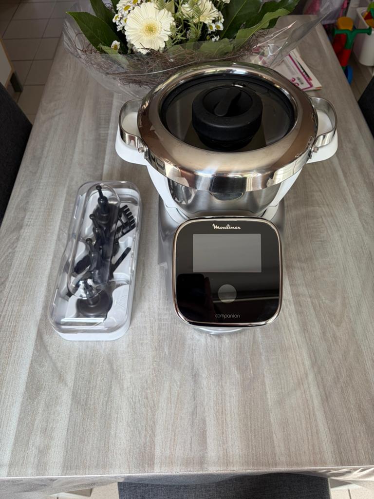 Companion MOULINEX, Electroménager, 4 litres ou plus, Enlèvement, Comme neuf