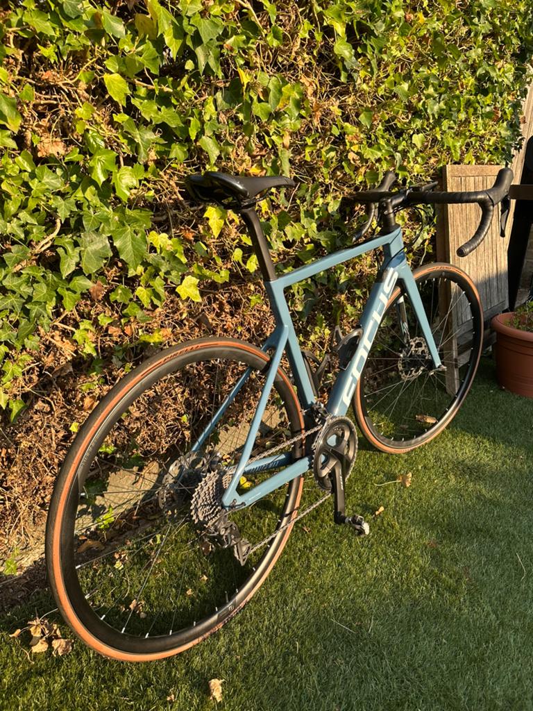 Focus Izalco Max 8.7 Carbon | Maat 54 | Topstaat, 28 inch, Carbon, Heren, Zo goed als nieuw