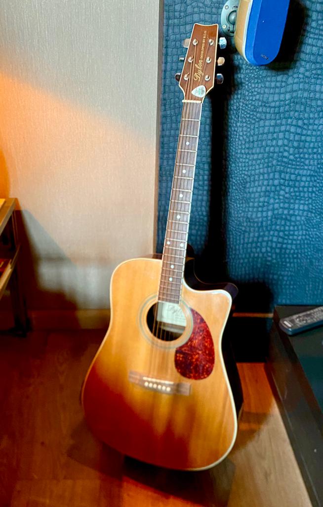 Acoustische Dreadnaught Dylan guitar, Enlèvement, Comme neuf