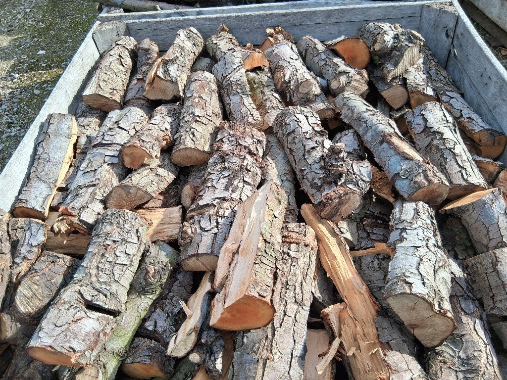 Brandhout van fruitbomen, Tuin en Terras, Brandhout, 3 tot 6 m³, Ophalen, Overige houtsoorten, Stammen