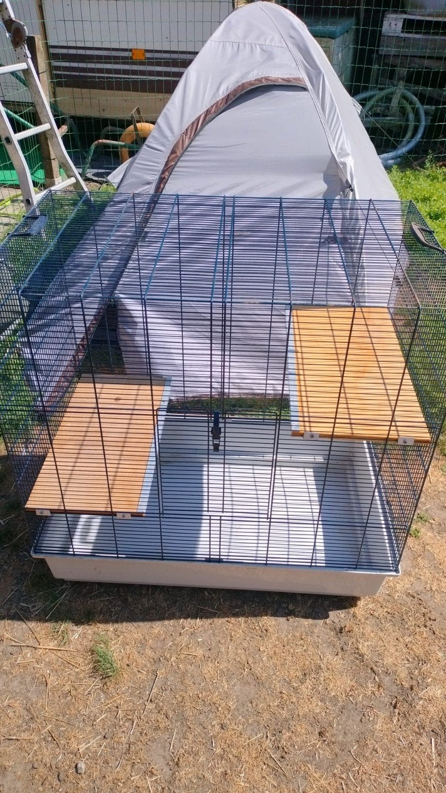 Fretten kooi, chinchilla kooi ,ratten kooi, grote kooi, Ophalen, Zo goed als nieuw, Overige typen