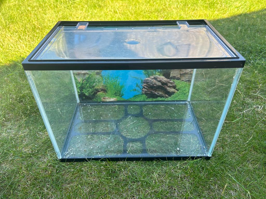 Aquarium vissen, Ophalen, Zo goed als nieuw