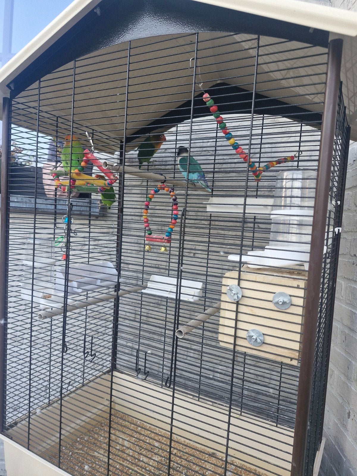 Vogelkooien met vogels, Enlèvement, Utilisé, Cage à oiseaux