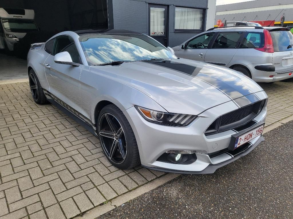 FORD MUSTANG 2,3 Eco Boost, Autos, Ford, Cuir, Argent ou Gris, Achat, https://public.car-pass.be/vhr/3a9b4087-9638-4ecc-997c-a2d8379734c9