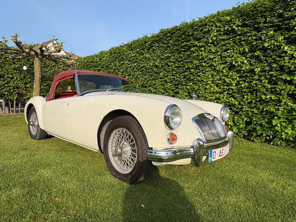 MGA 1600, Cuir, Boîte manuelle, Particulier, Blanc