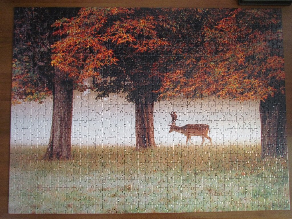 Puzzle 3x1000 pièces « La collection du photographe », Enlèvement, 500 à 1500 pièces, Comme neuf, Puzzle