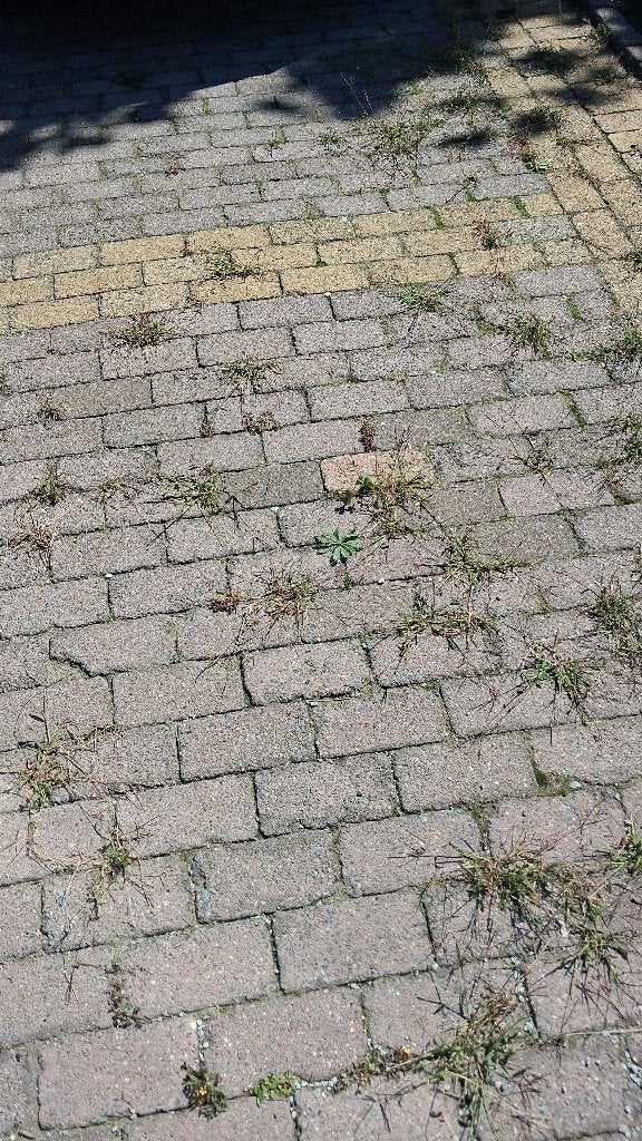 Klinkers GRATIS, Tuin en Terras, Ophalen, Gebruikt, Klinkers, 10 m² of meer