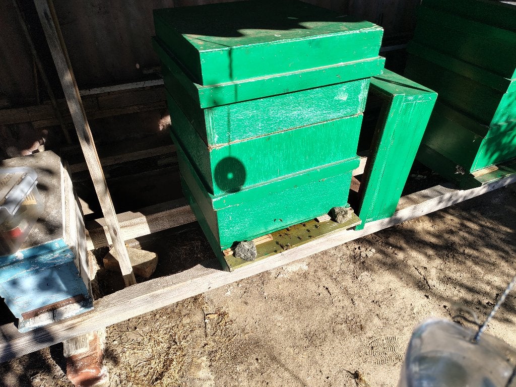 bijen en bijenteeltmateriaal, Dieren en Toebehoren, Bijen