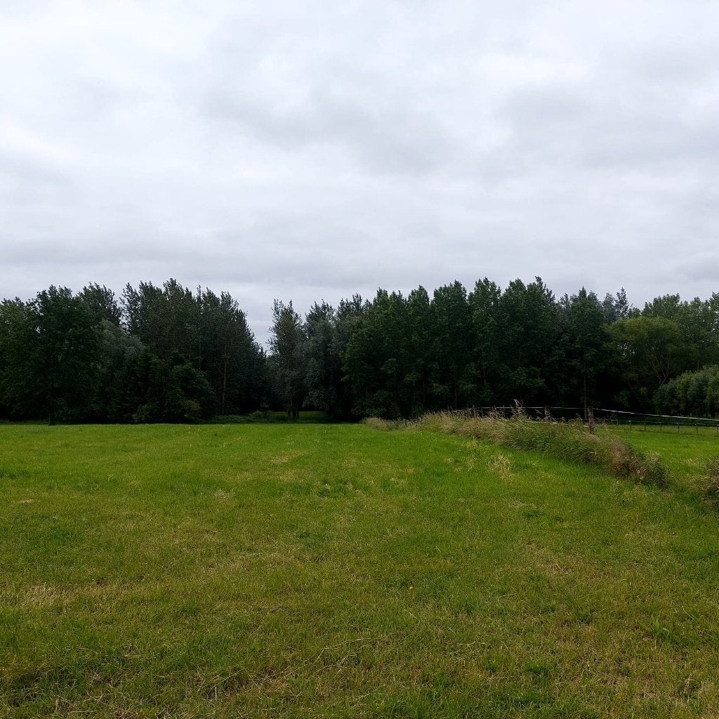 Weide kortenaken en Bekkevoort te huur