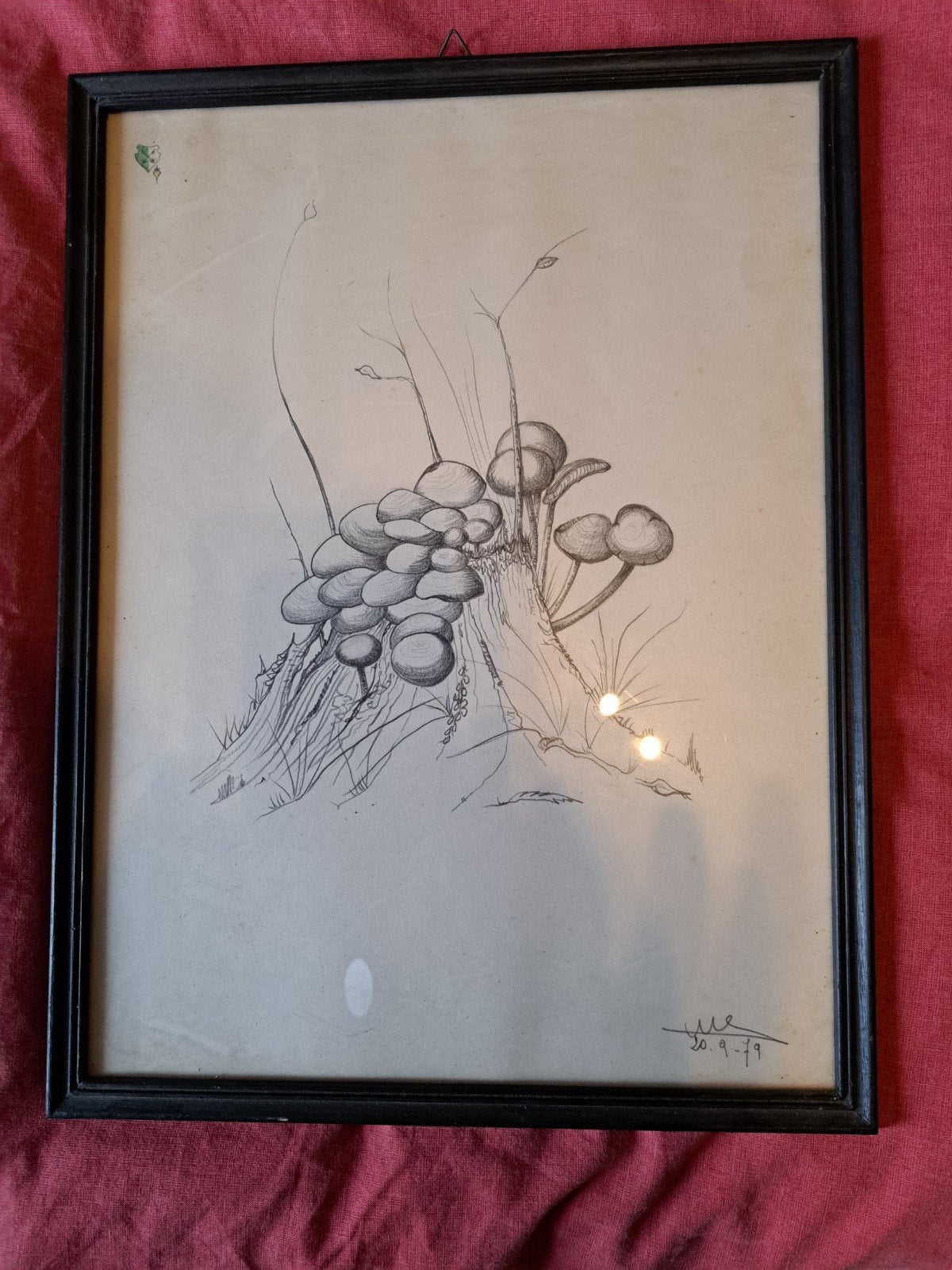 Paddestoelen (potloodtekening), Enlèvement, Dessin au crayon