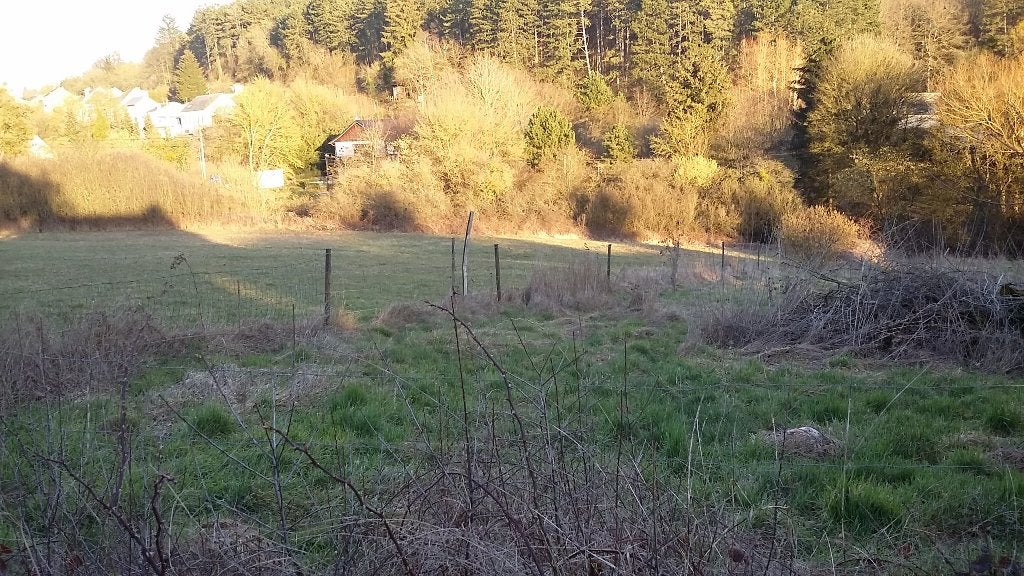 MAZEE TERRAIN A BATIR., Immo, Province de Namur