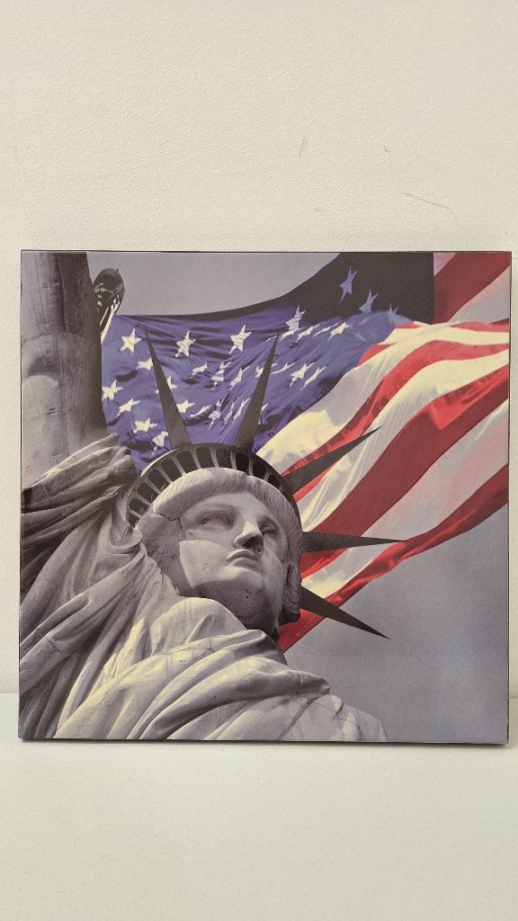 Cadre "Statue de la liberté", Enlèvement, Comme neuf, Panneau photo