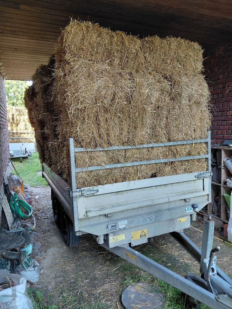 hooi te koop (onkruidvrij), Dieren en Toebehoren, Ophalen, Vee