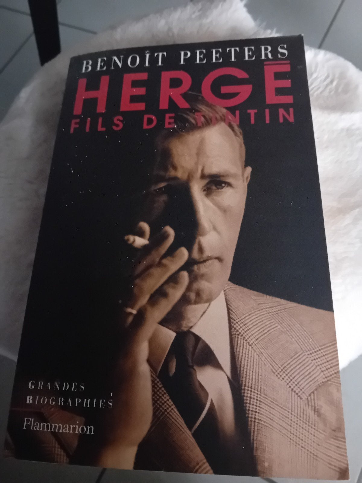 livre herge  fils de tintin